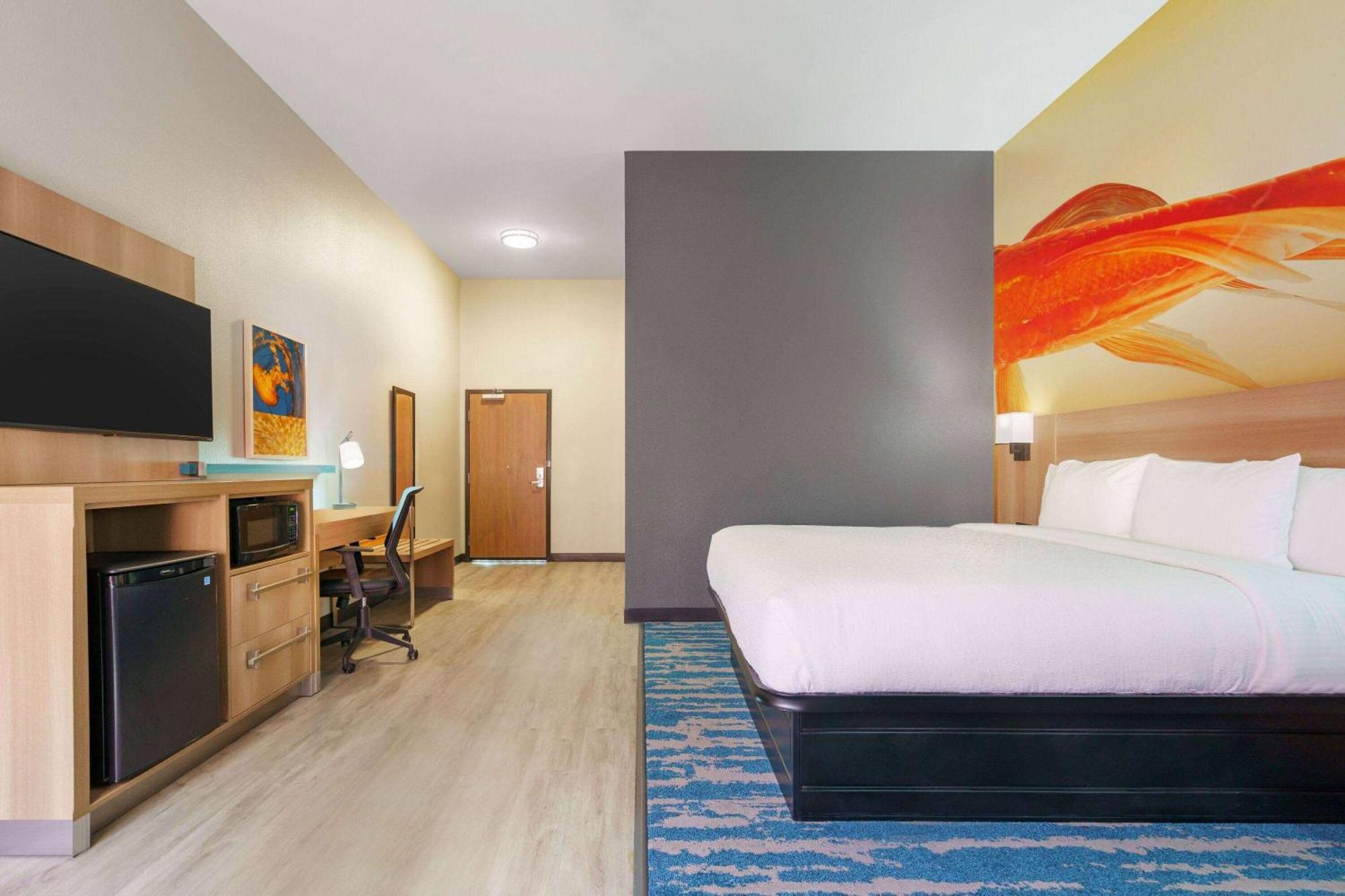 La Quinta Inn & Suites By Wyndham San Antonio Seaworld Lafb Esterno foto